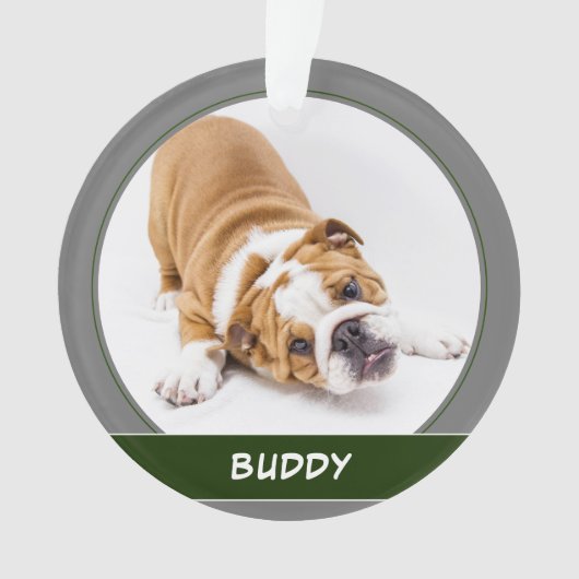 Petit Chien Chien Chien Chien Chien Chien Moderne (devant)