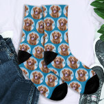 Petit chien de compagnie photo bleue Turquoise<br><div class="desc">Surprenez l'amoureux des chiens si c'est un anniversaire, un jour de mères ou un Noël avec ces super mignonnes photos d'animaux de compagnie partout sur les chaussettes imprimées.Ils seront les préférés de tous les amoureux de les chiens. DROIT D'AUTEUR © 2020 Judy Burrows, Black Dog Art - Tous droits réservés...</div>