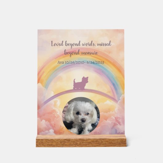 Petit chien duveteux Pont de l'Arc-en-Ciel Mémoria (Recto)