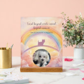 Petit chien duveteux Pont de l'Arc-en-Ciel Mémoria (Mariage)