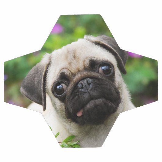 Petit chiot au carlin pâle mignon