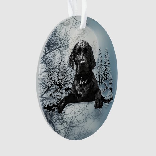 Petit chiot noir Labrador Retriever T-Shirt Thirt (devant)