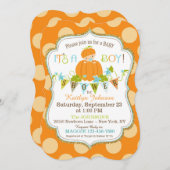 Petit Citrouille Boy Fall Baby Douche Invitations (Devant / Derrière)