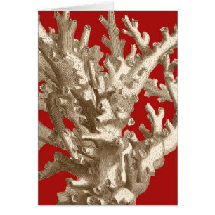 Petit corail en rouge