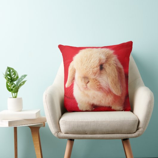 Petit Coussin Bunny (Chaise)
