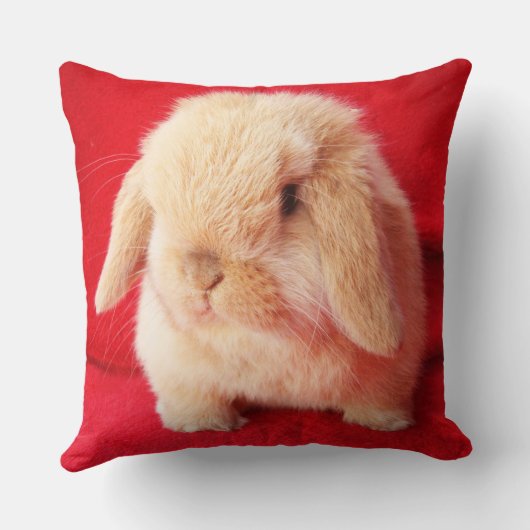 Petit Coussin Bunny (Verso)