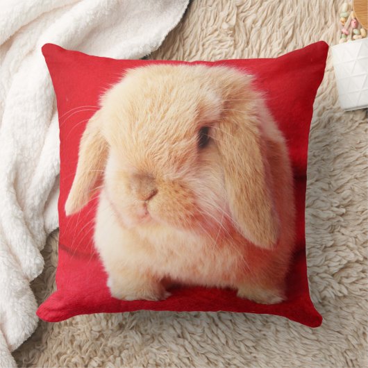 Petit Coussin Bunny (Couverture)