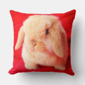 Petit Coussin Bunny (Recto)