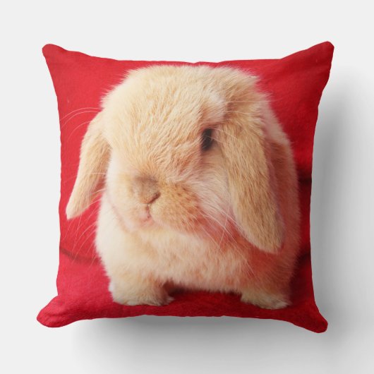Petit Coussin Bunny (Recto)