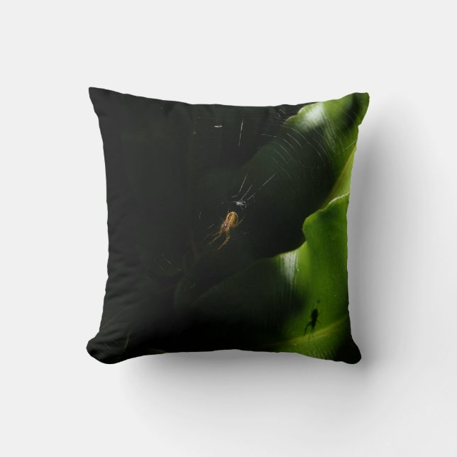 Petit Coussin Spider (Recto)