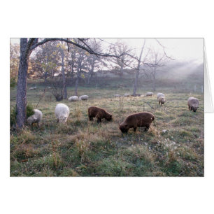Petit déjeuner à l'aube