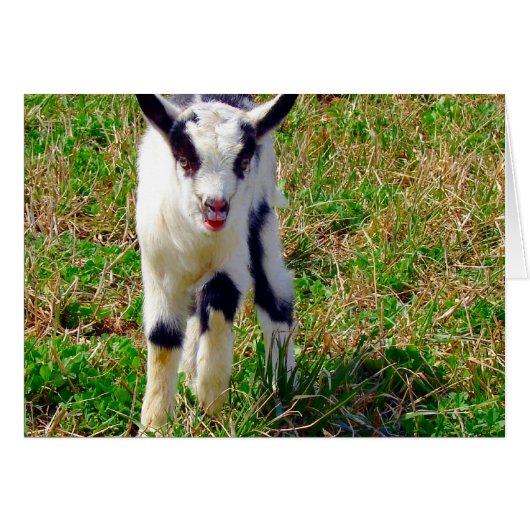 Petit endroit (Devant horizontal)