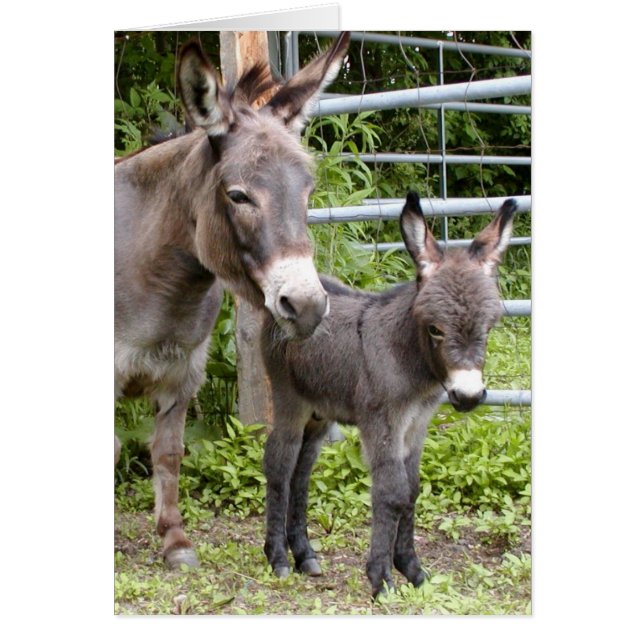 Petit et maman (Devant)