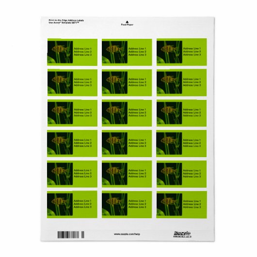 Petit Étiquette de poisson (Feuille entière)