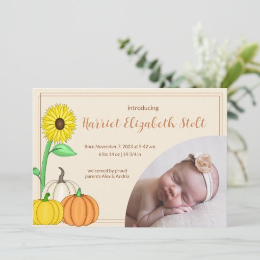 Petit Faire-part de naissance Citrouille (Debout devant)