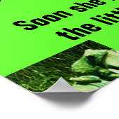 PETIT FROG, affiche POEM (Coin)