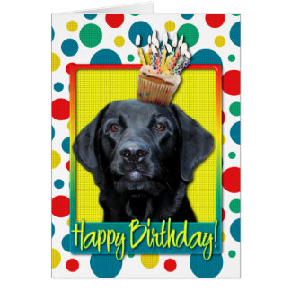  Anniversaire  Labrador  Cartes  Anniversaire  Labrador  