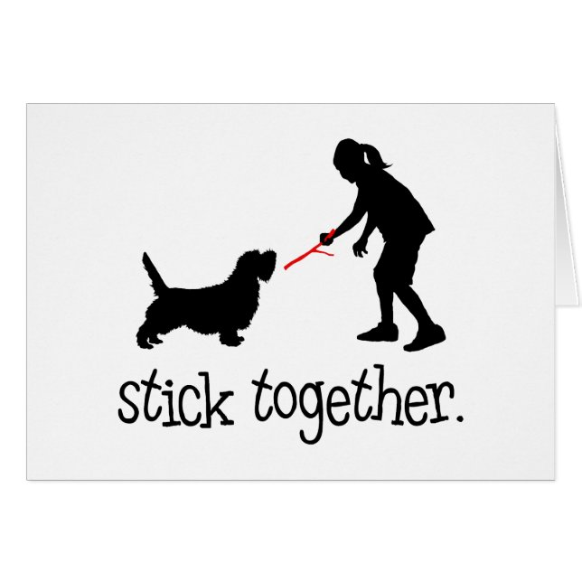 Petit griffon Vendeen de basset (Devant horizontal)