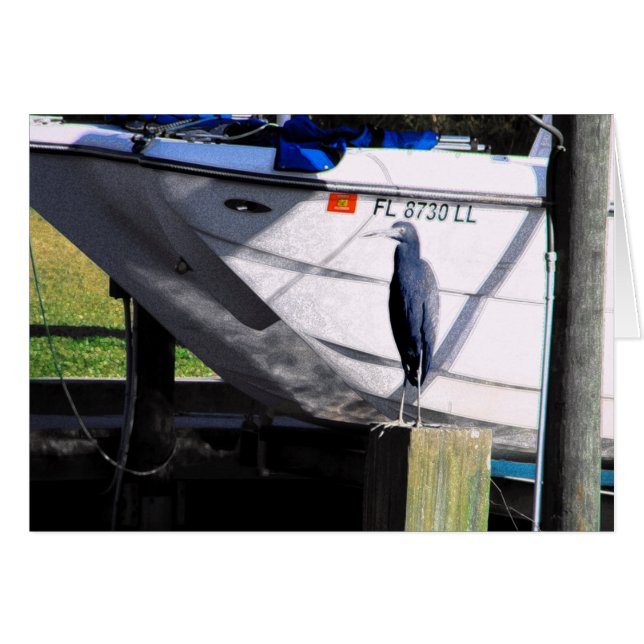 Petit héron bleu (Devant horizontal)