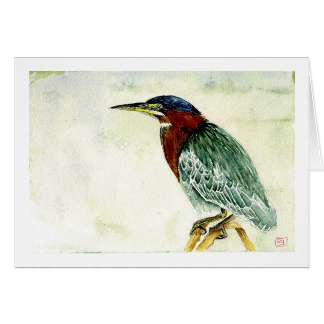 Petit héron vert (Devant horizontal)