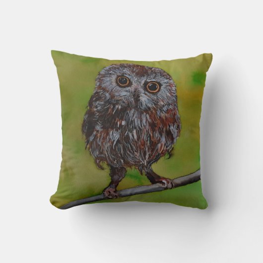 Petit hibou peignant sur un coussin (Recto)