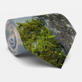 Petit Jean Cedar Creek Stropdas (Opgerold)