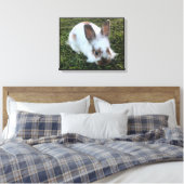 Petit lapin mignon dans la toile d'herbe Imprimer (Insitu(Chambre))