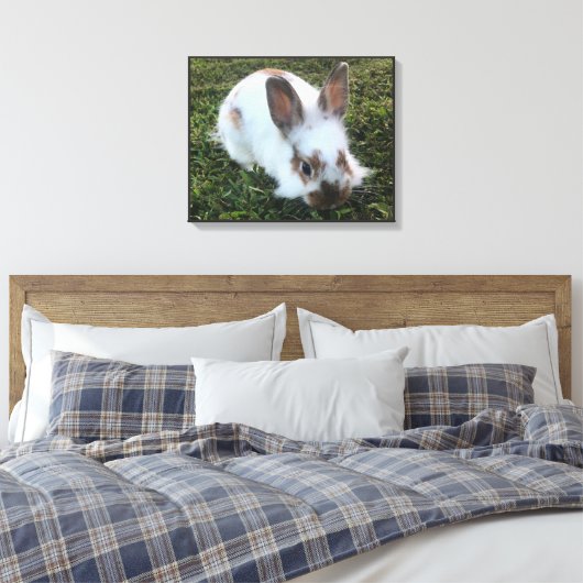 Petit lapin mignon dans la toile d'herbe Imprimer (Insitu(Chambre))