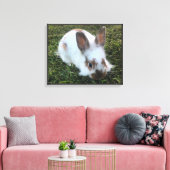Petit lapin mignon dans la toile d'herbe Imprimer (Insitu(Salon))