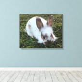 Petit lapin mignon dans la toile d'herbe Imprimer (Insitu (Plancher de Bois))