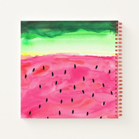 Petit livre d'aventures d'été (Dos)