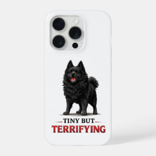 Petit mais terrifiant Schipperke
