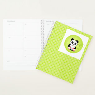 Petit Panda