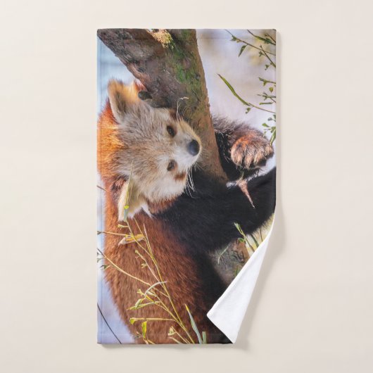 Petit panda rouge pâle (Serviette à main)