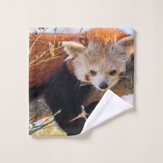 Petit panda rouge pâle (Gant de toilette)