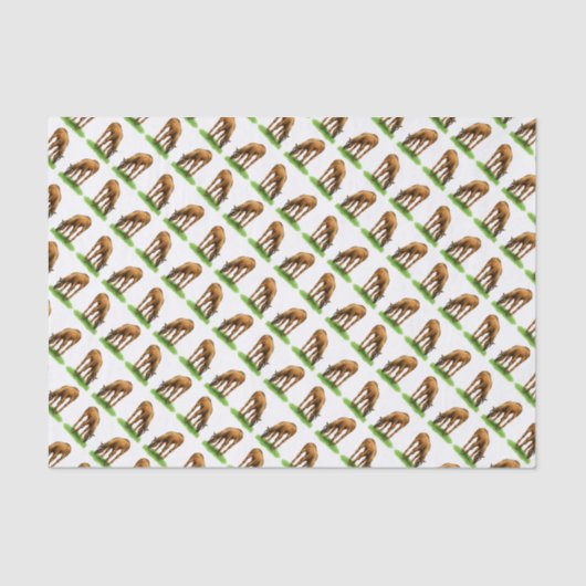 Petit papier de soie de soie de pâturage de (Recto)