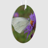 Petit papillon de blanc de chou (devant)