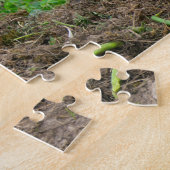 Petit petit chien de prairie à queue noire puzzle (Côté)