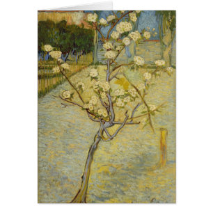 Petit poirier dans la carte de fleur