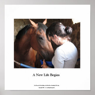 Petit Poster Solo Tour et Darla Jeffery