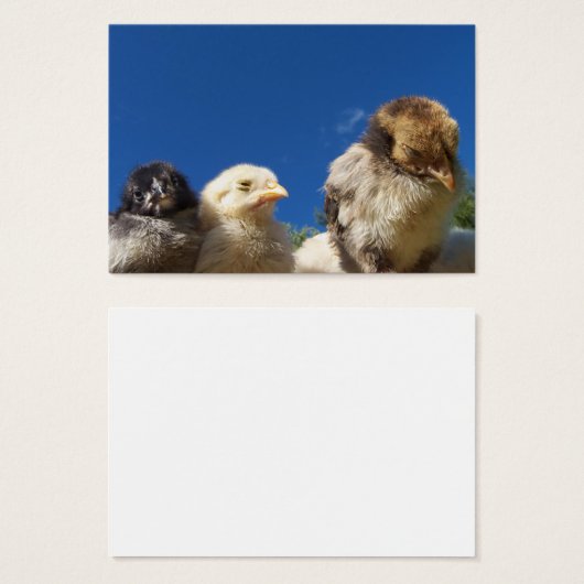 petit poulet heureux dormir (Devant & derrière)