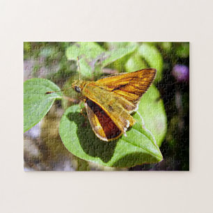 Petit Puzzle Photo Papillon Skipper avec boîte cad