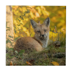 Petit renard mignon carreau en céramique