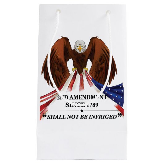 Petit Sac Cadeau 2e amendement Oreiller (Devant)