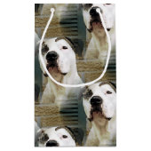 Petit Sac Cadeau À l'os de pitbull (Dos)