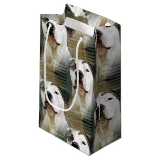 Petit Sac Cadeau À l'os de pitbull
