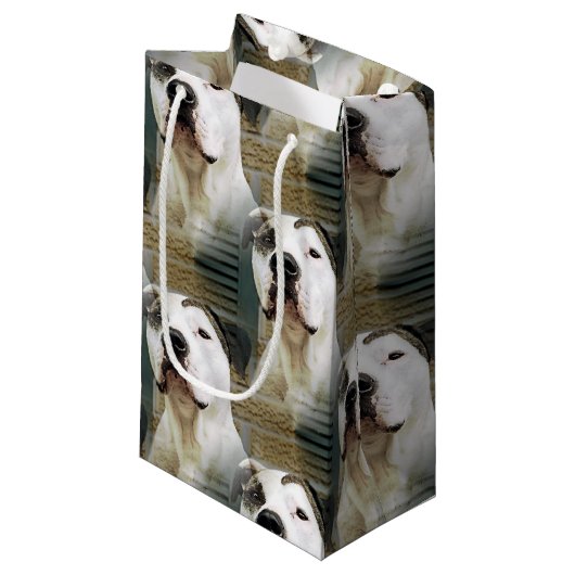 Petit Sac Cadeau À l'os de pitbull (Devant Angle)