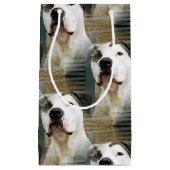 Petit Sac Cadeau À l'os de pitbull (Devant)