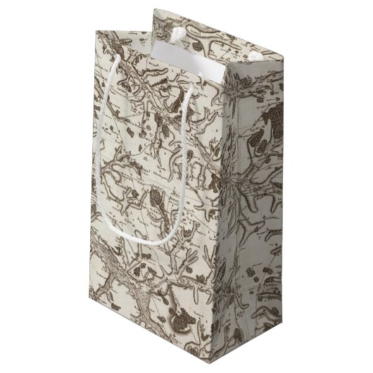 Petit Sac Cadeau Abbeville (Dos Angle)