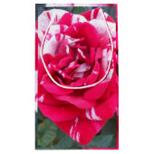 Petit Sac Cadeau Ancienne (Dos)